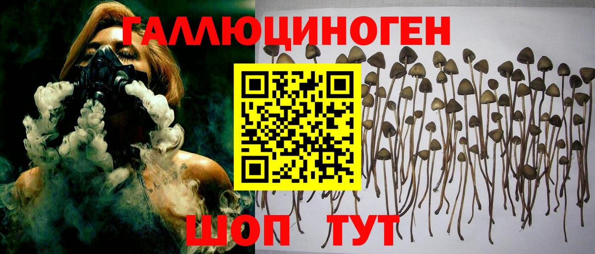 Псилоцибиновые грибы Psilocybine cubensis  Псилоцибиновые грибы ЛСД  Чусовой  Вход с VPN 